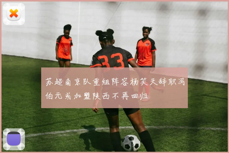 苏超南京队重组阵容杨笑天辞职冯伯元或加盟陕西不再回归