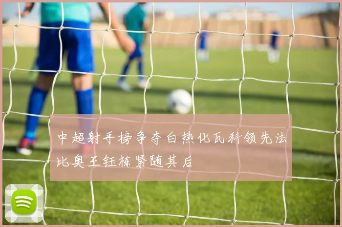 中超射手榜争夺白热化瓦科领先法比奥王钰栋紧随其后